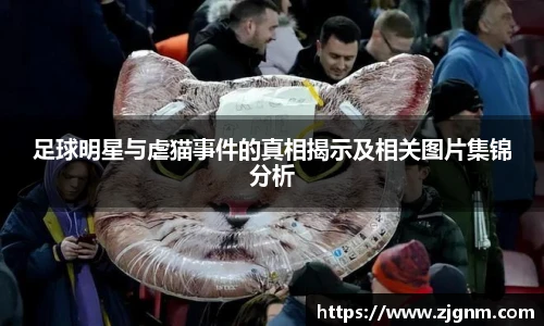 足球明星与虐猫事件的真相揭示及相关图片集锦分析